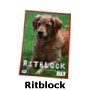 Ritblock